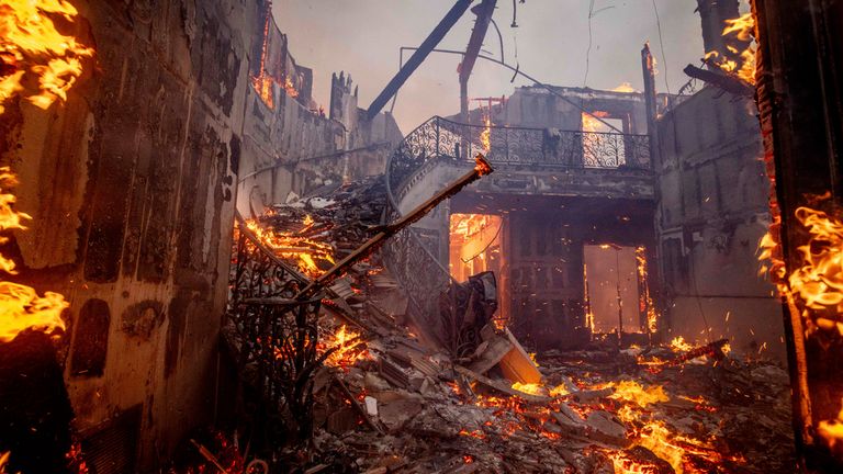 大带来了新 大带来了新